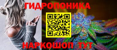 индика Старая Купавна