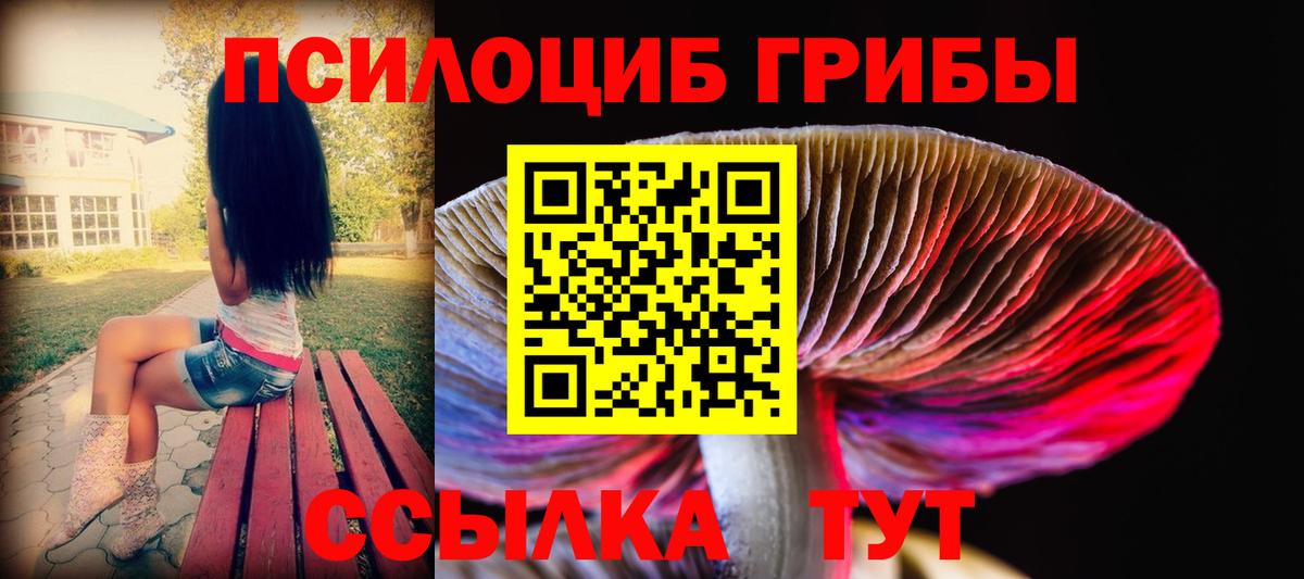 Галлюциногенные грибы Cubensis Ногинск