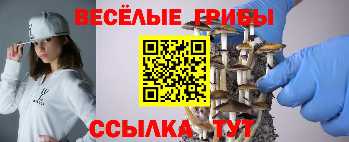 Галлюциногенные грибы Cubensis  Вход с VPN  Ногинск 